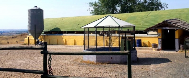  Our facilities 